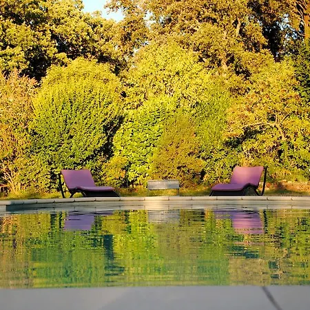 Domaine De Layaude Basse * Lacoste